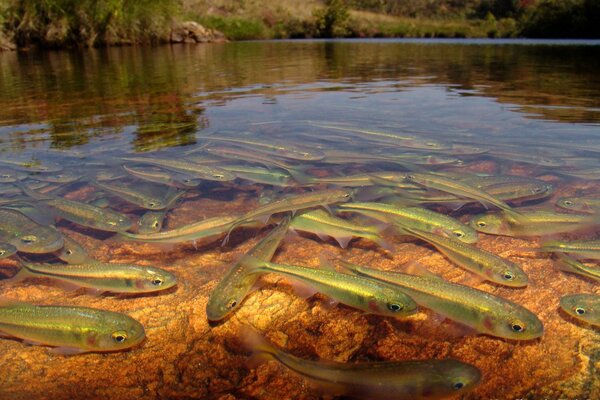 Transparente Farbe der Welt im Wasser