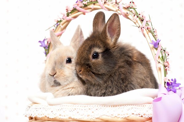 Dos conejitos de Pascua en una canasta para Pascua