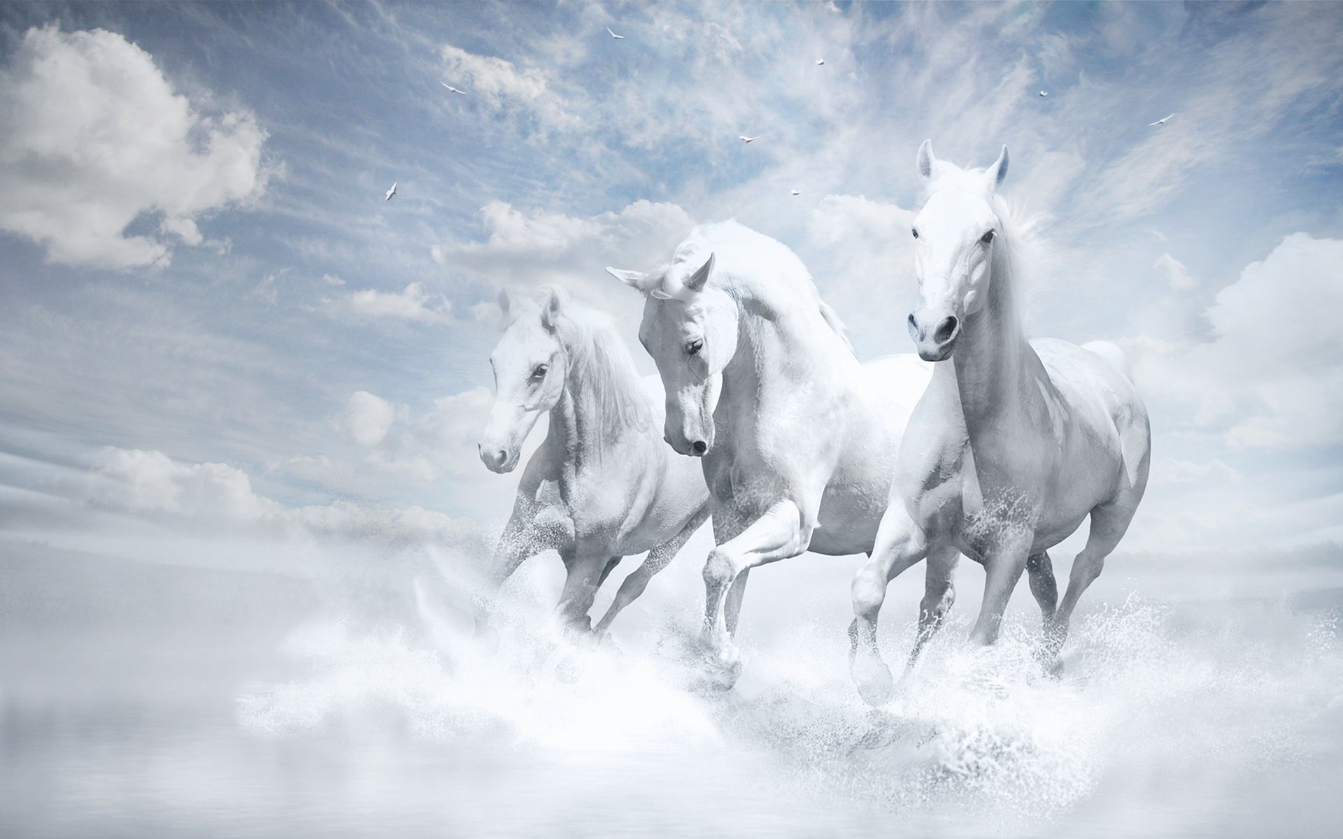 white horses wallpaper