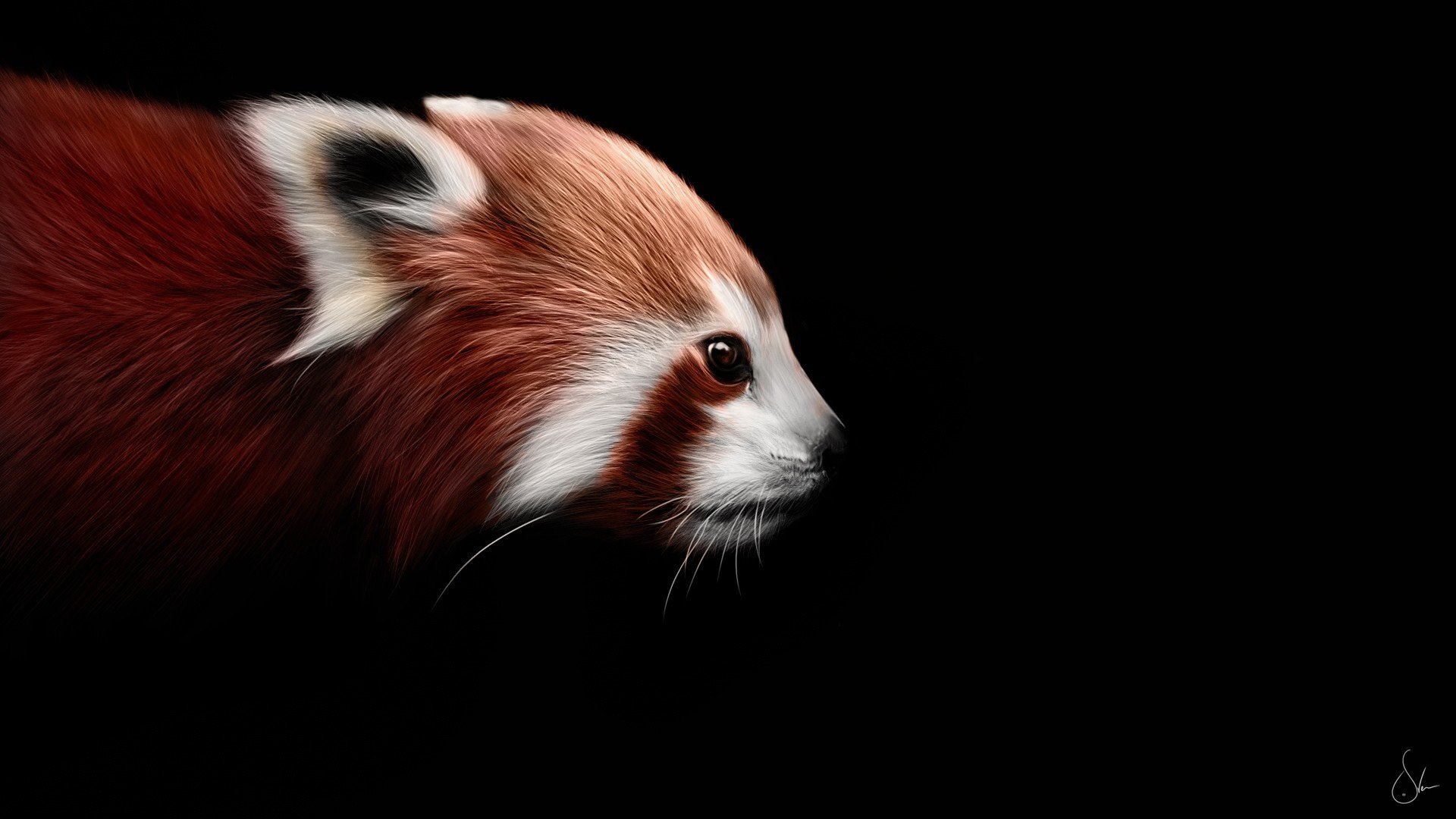 roter panda firefox kunst schwarz hintergrund