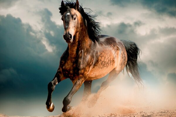 Cheval galopant dans le sable