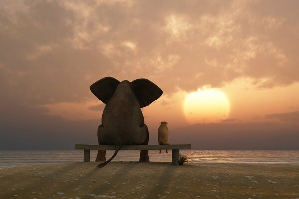 Un grande elefante e un piccolo cane guardano il tramonto