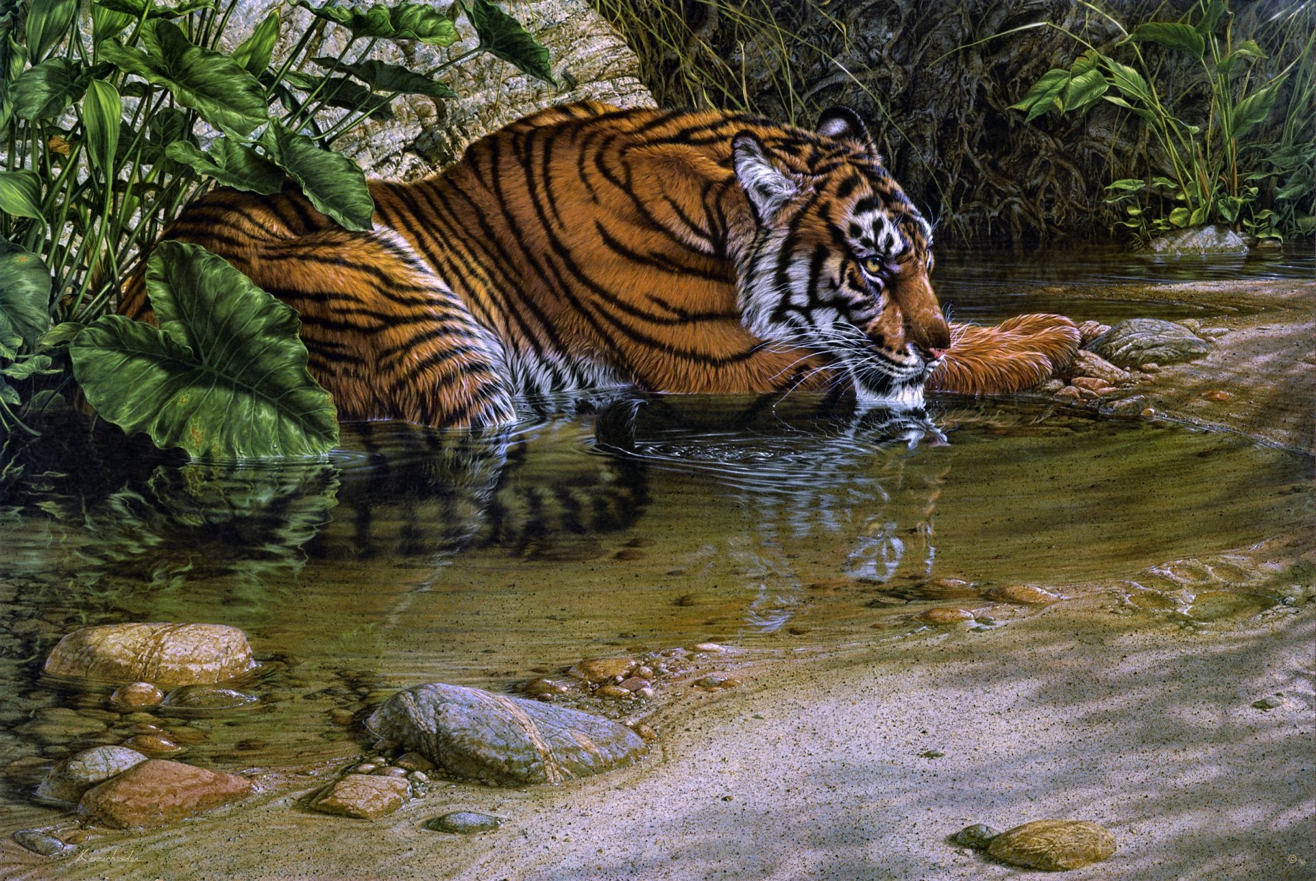 rivière tigre lee kromschroeder peinture tigre boire jungle chat prédateur