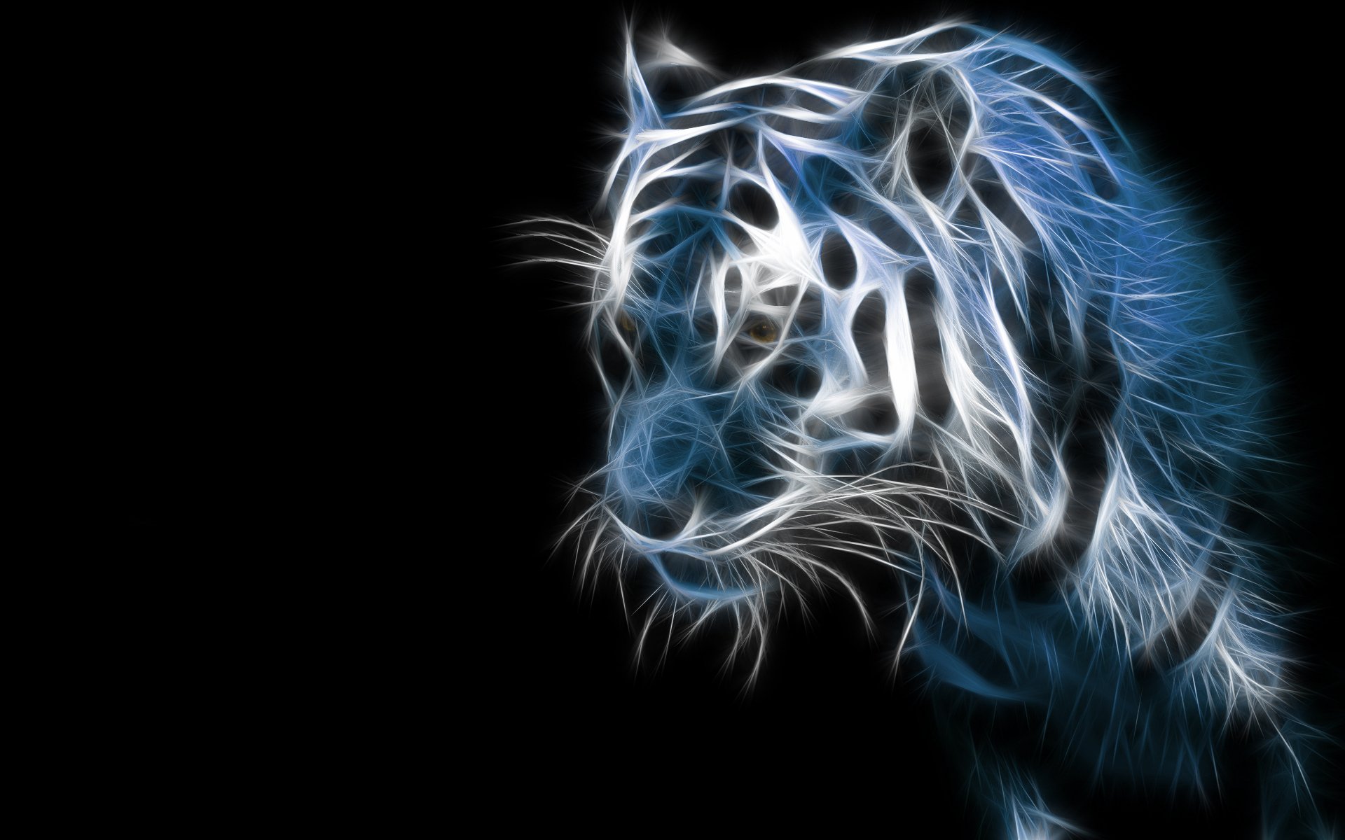Tiger on dark background | Stock image | Colourbox