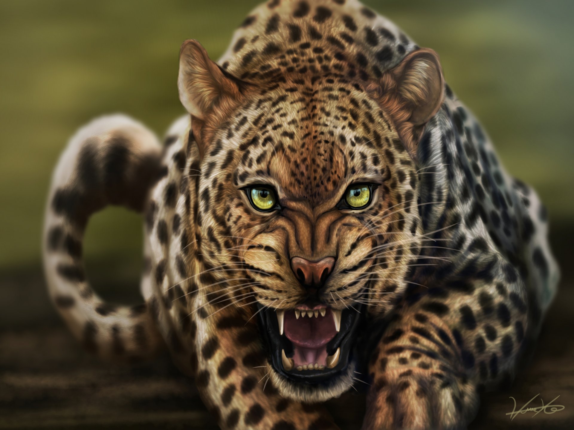 leopardo gatto muso ringhio vista arte