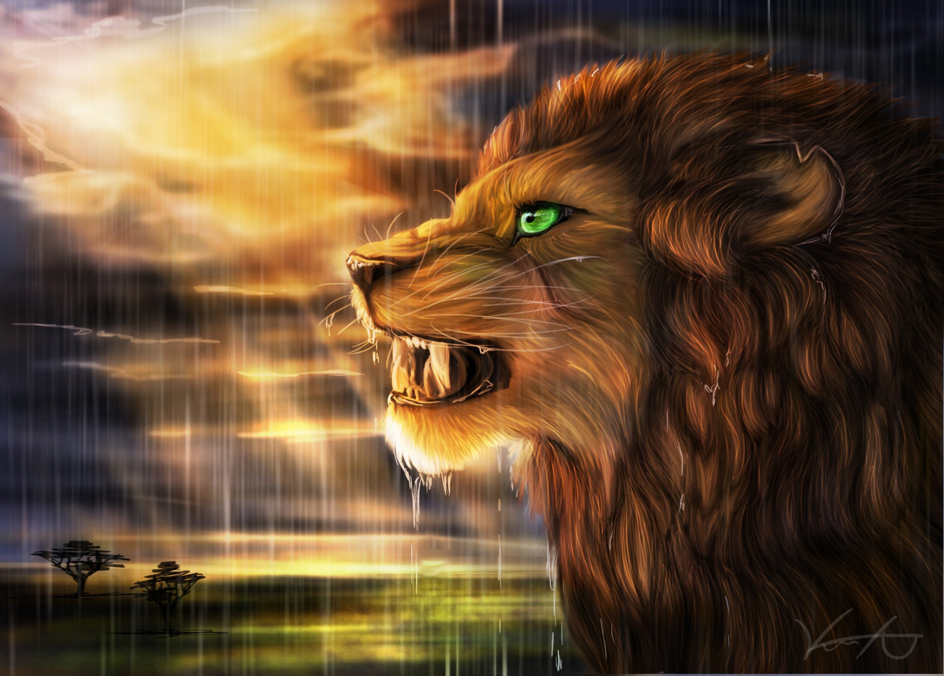 art goldenphoenix100 lion chat sauvage prédateur profil pluie soleil savane