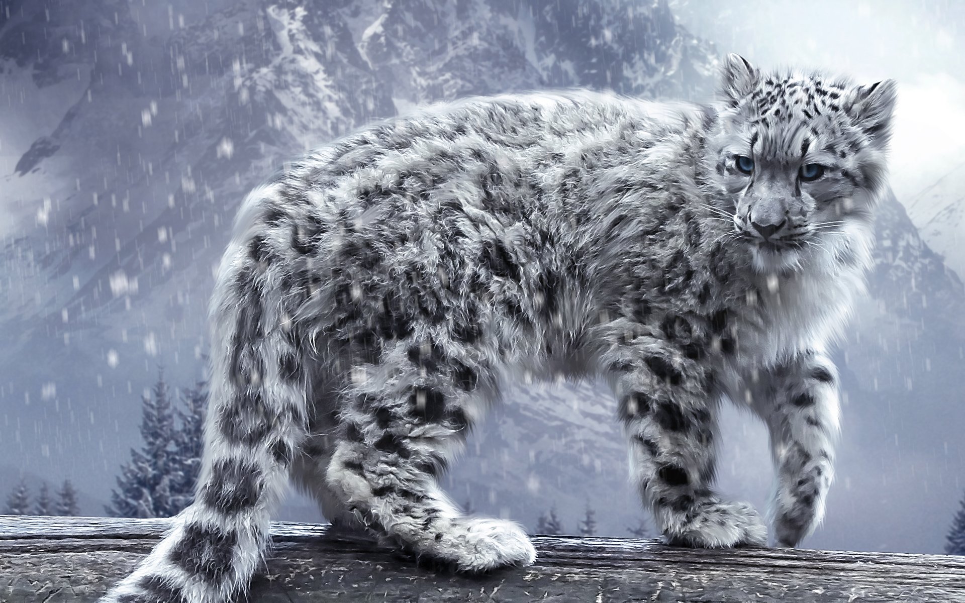 cat leopard snow leopard leopard snow mountain log