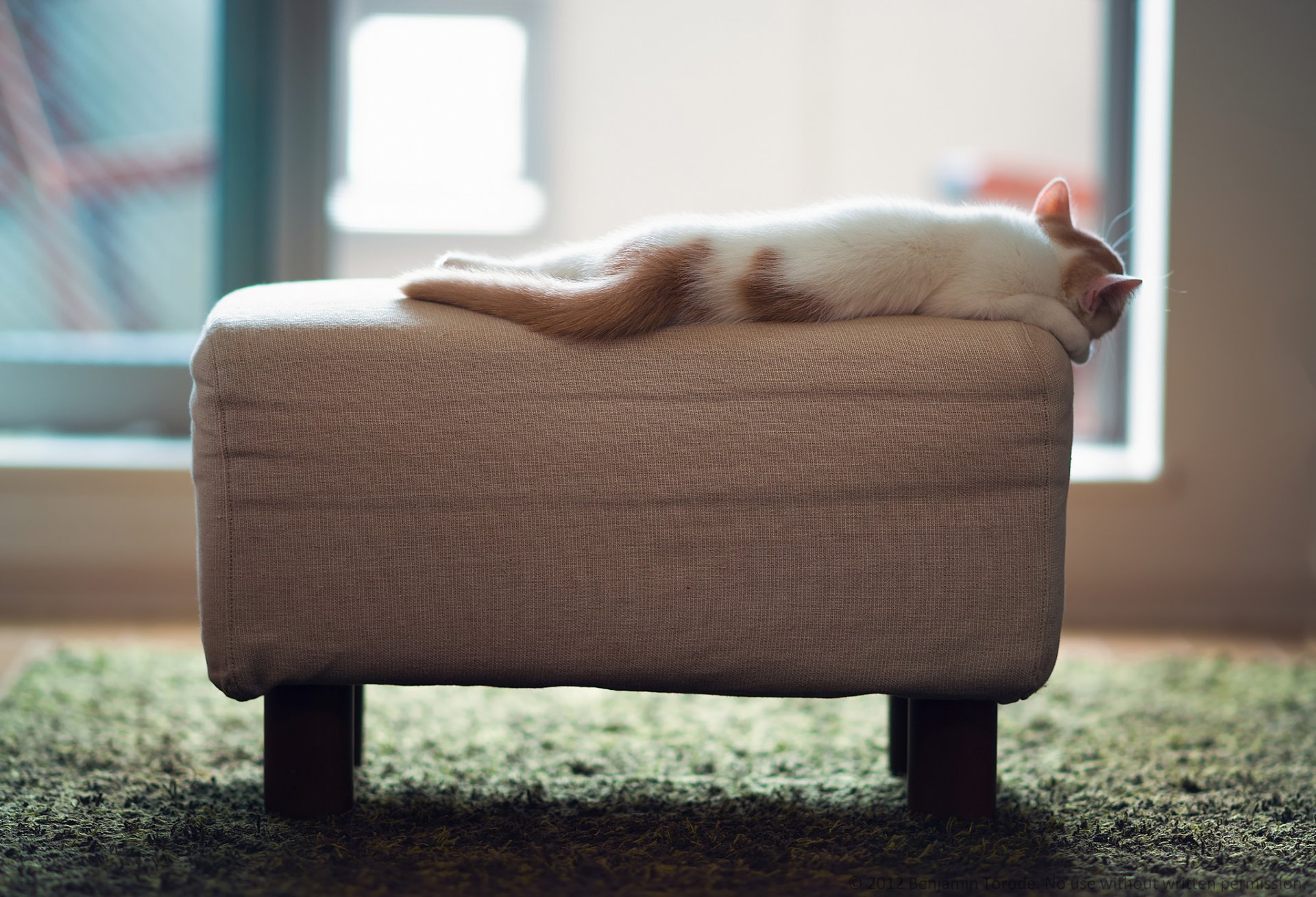 hannah kitten sports ottoman © ben torode