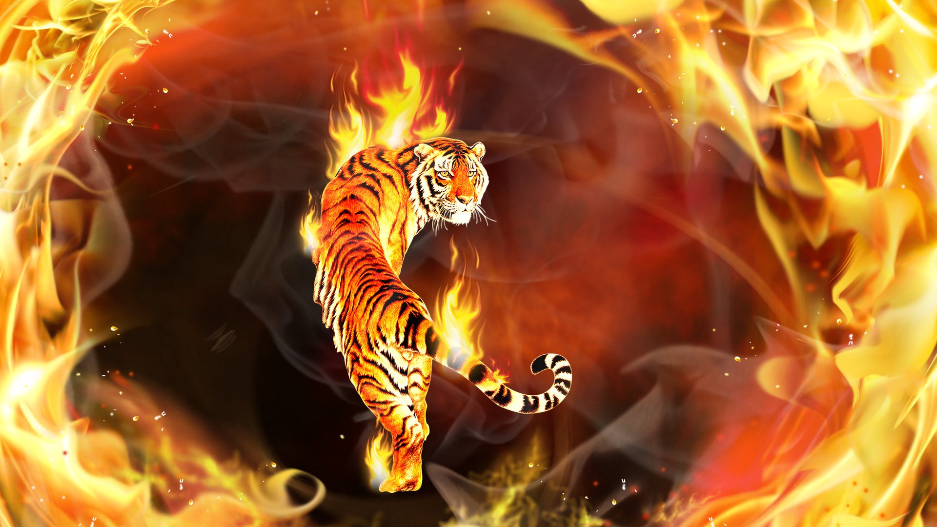 tigre feu flamme