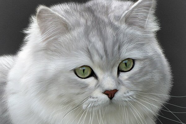 The muzzle of a British long-haired cat with green eyes