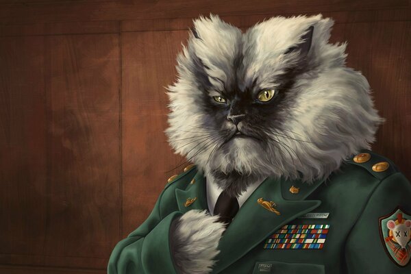 Генерал с головой сердитого кота