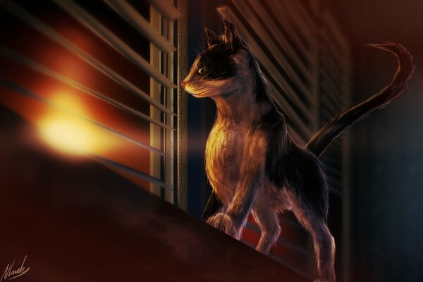 Art chat regardant les stores sur le coucher du soleil