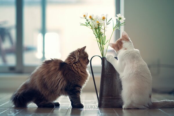 Two kittens at a vase with daisies