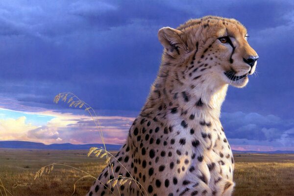 Art work by Daniel Smith. Cheetah