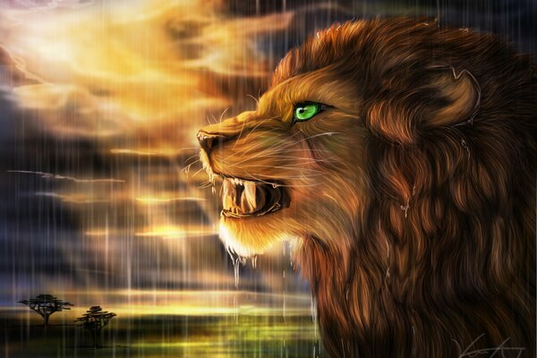 Art aggressive lion roars on the background of the field