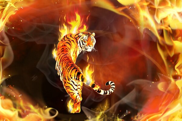 Tigre en feu belle photo