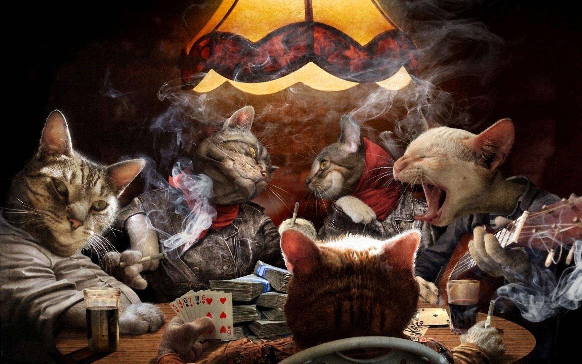 gatos tarjetas cigarrillos humo guitarra dinero