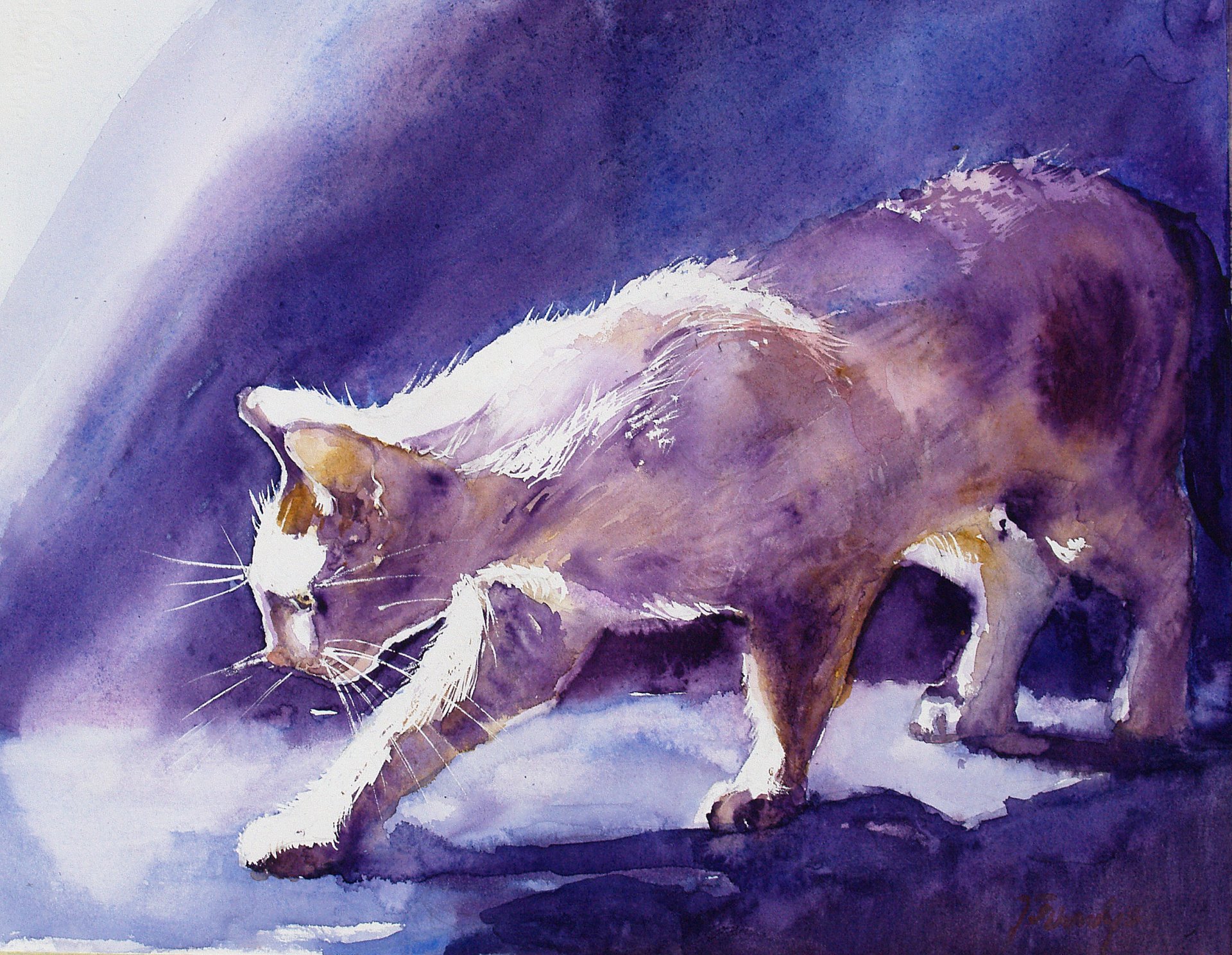 cats picture gouache