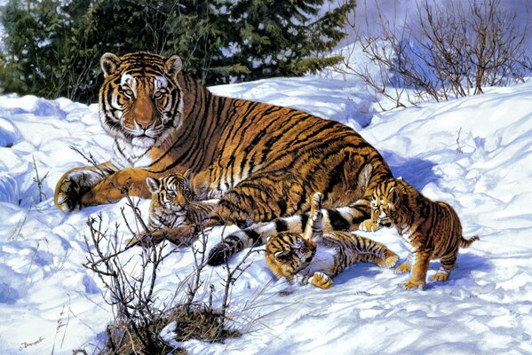 Eine Tigerin und ihre Tiger spielen im Schnee