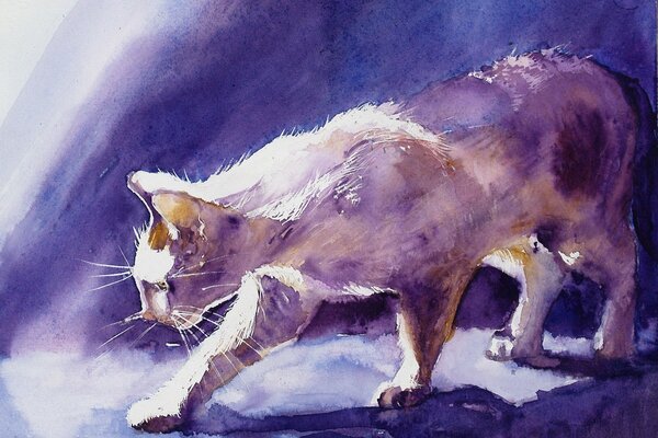 Drawing of a domestic cat. Beautiful cat