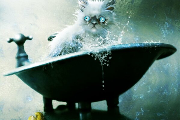 Мокрый кот купается в ванной