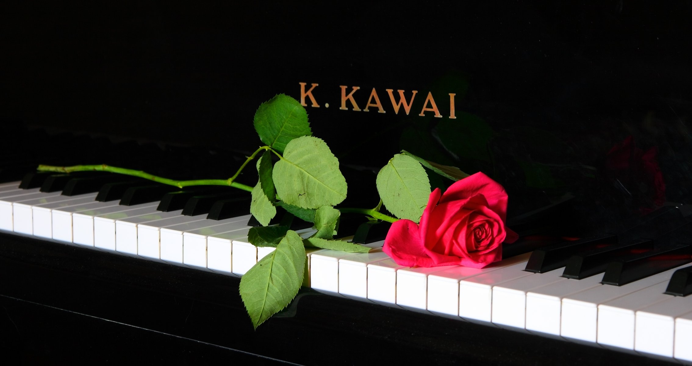 piano rose music