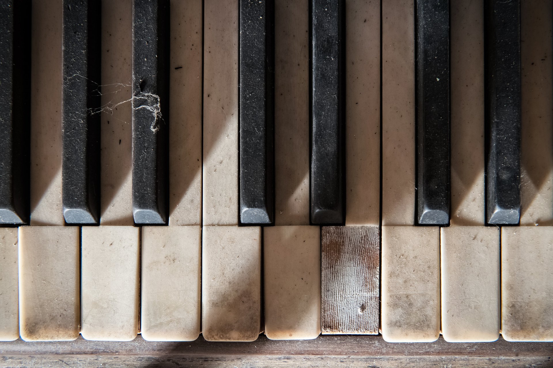 pianoforte musica macro