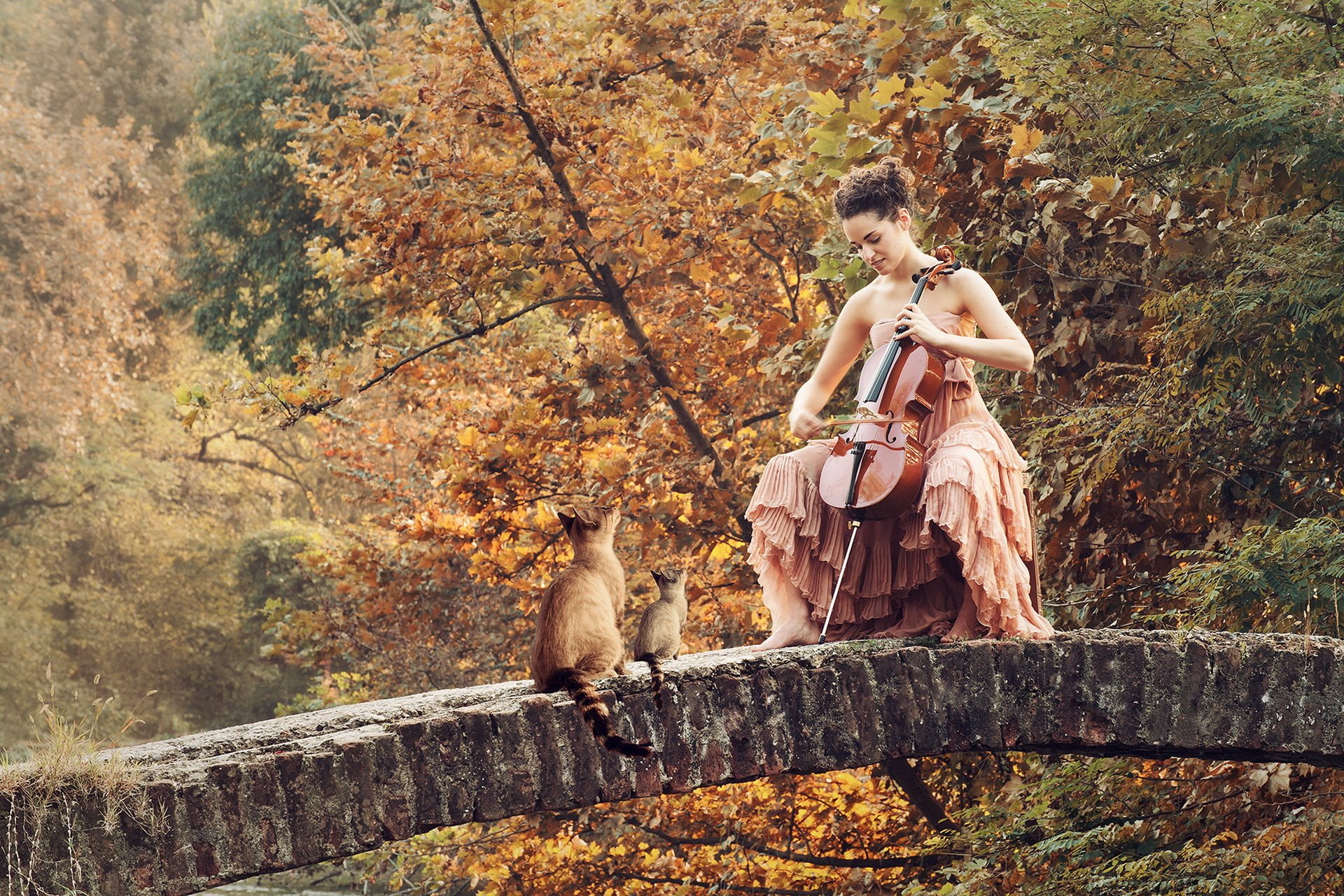 Woman cat песня. Виолончель на природе. Фотосессия с виолончелью на природе. Девушка с котом осень. Фотосессия с котом на природе.