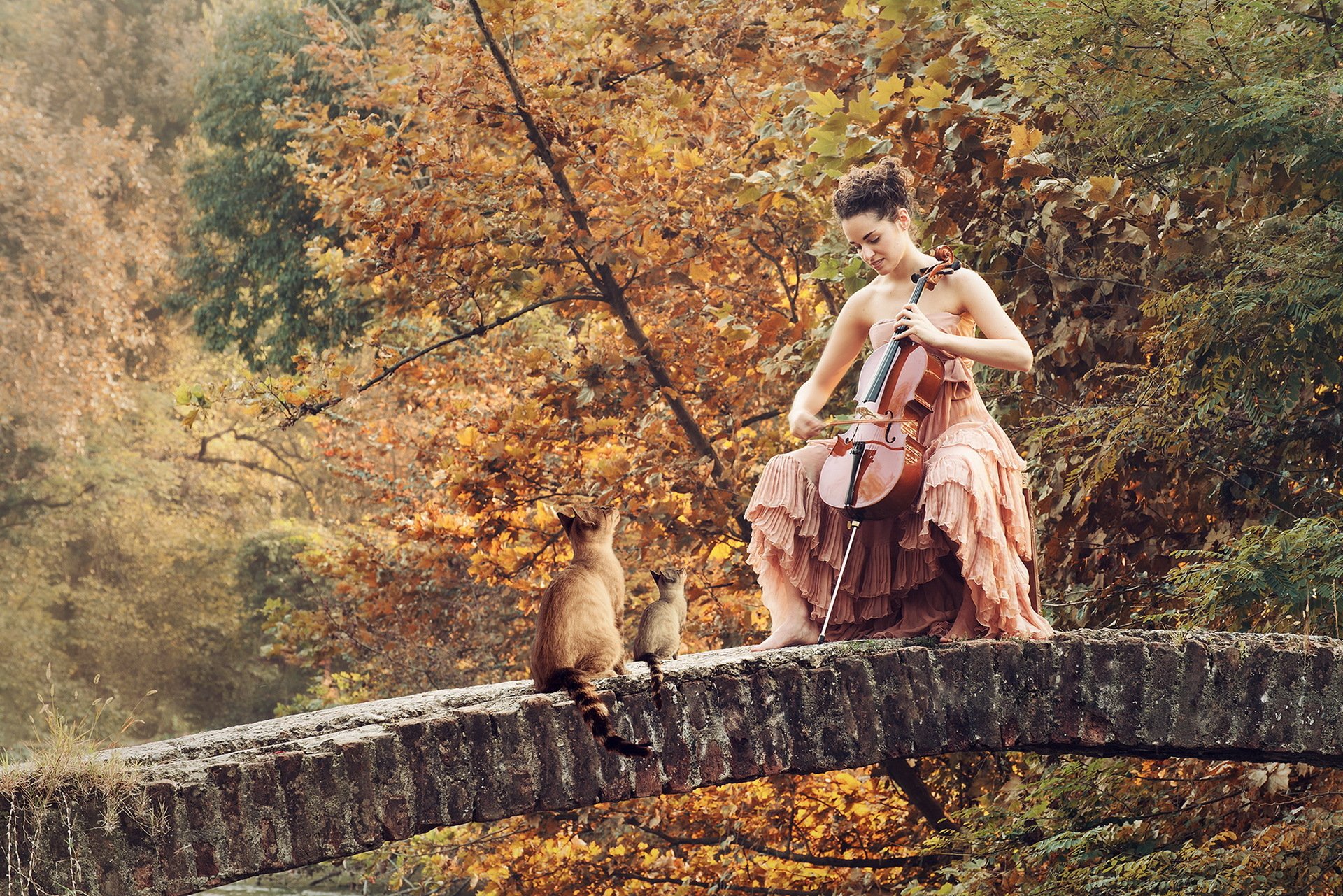 mädchen brücke katzen musik