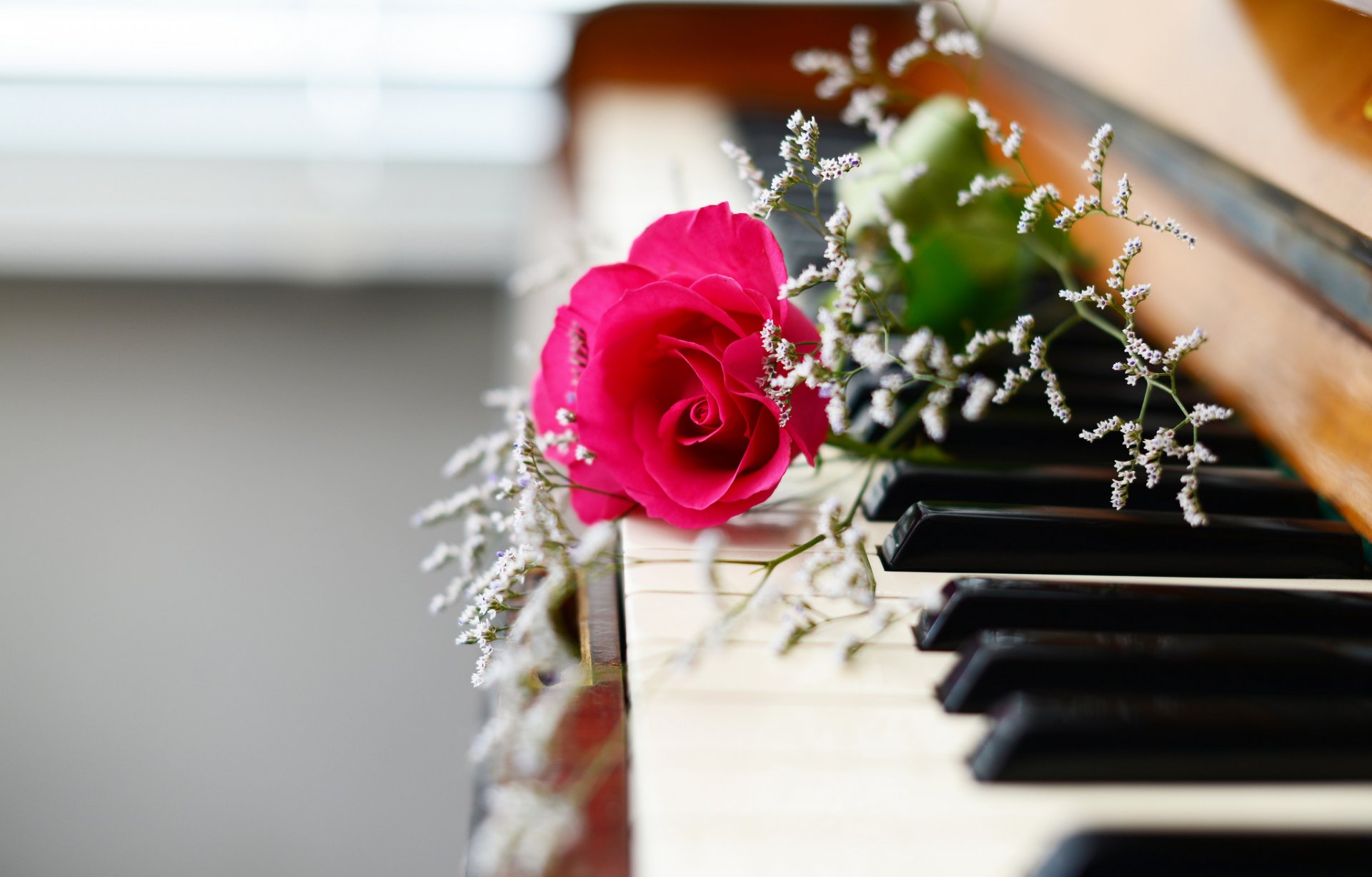 pianoforte fiori musica