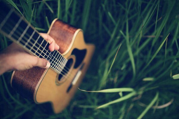 Guitare acoustique dans l herbe verte