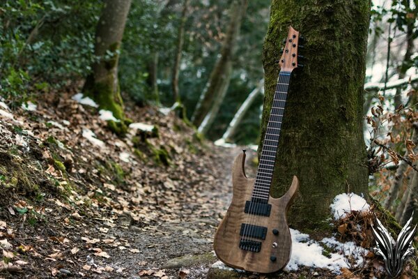 Guitar on the background of a tree in the autumn forest