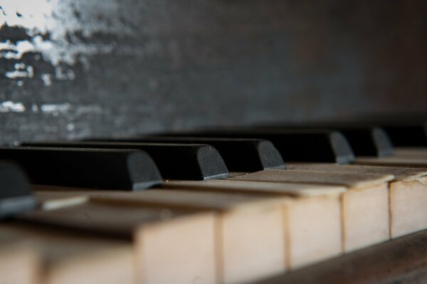 Bella foto dei tasti del pianoforte