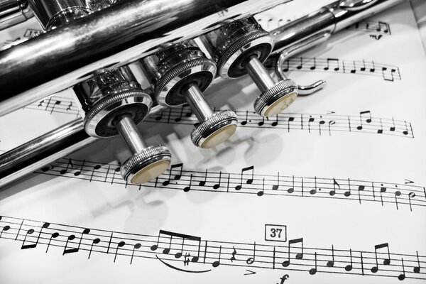 Notes de musique pour trompette