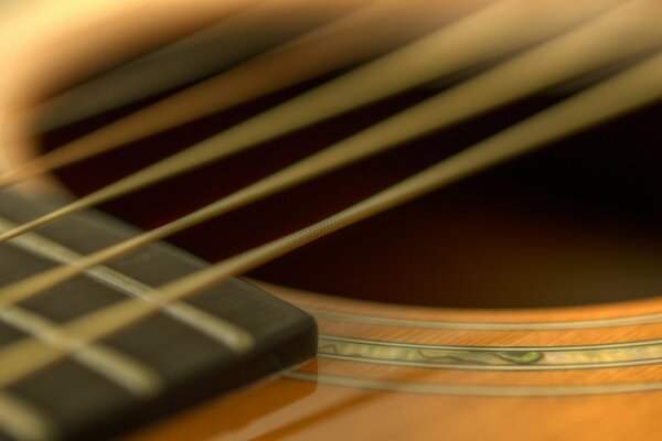 Foto macro di corde di chitarra