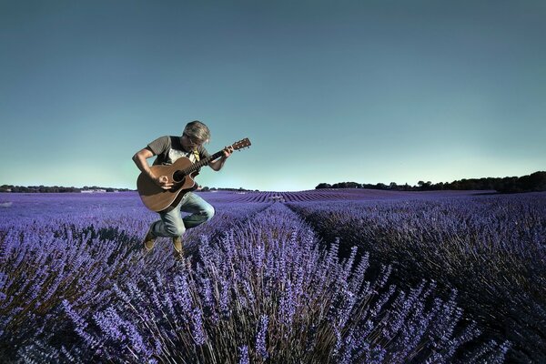 Musicista uomo in campo con lavanda