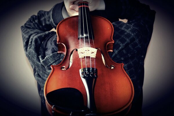 Musical violin on a gray background