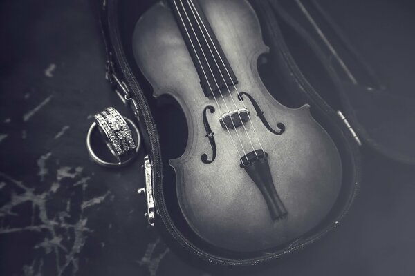 Violín en Caja y anillos con piedras