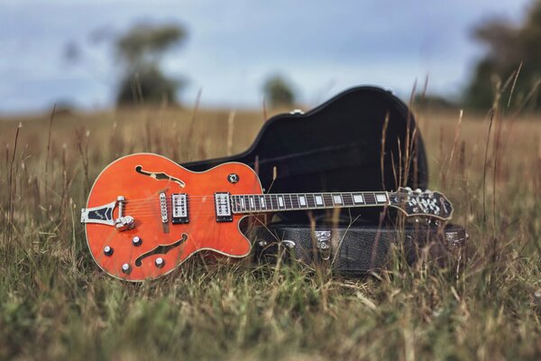 Background with guitar and field