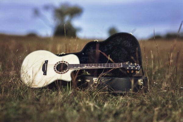 Hintergrund mit Gitarre auf dem Feld