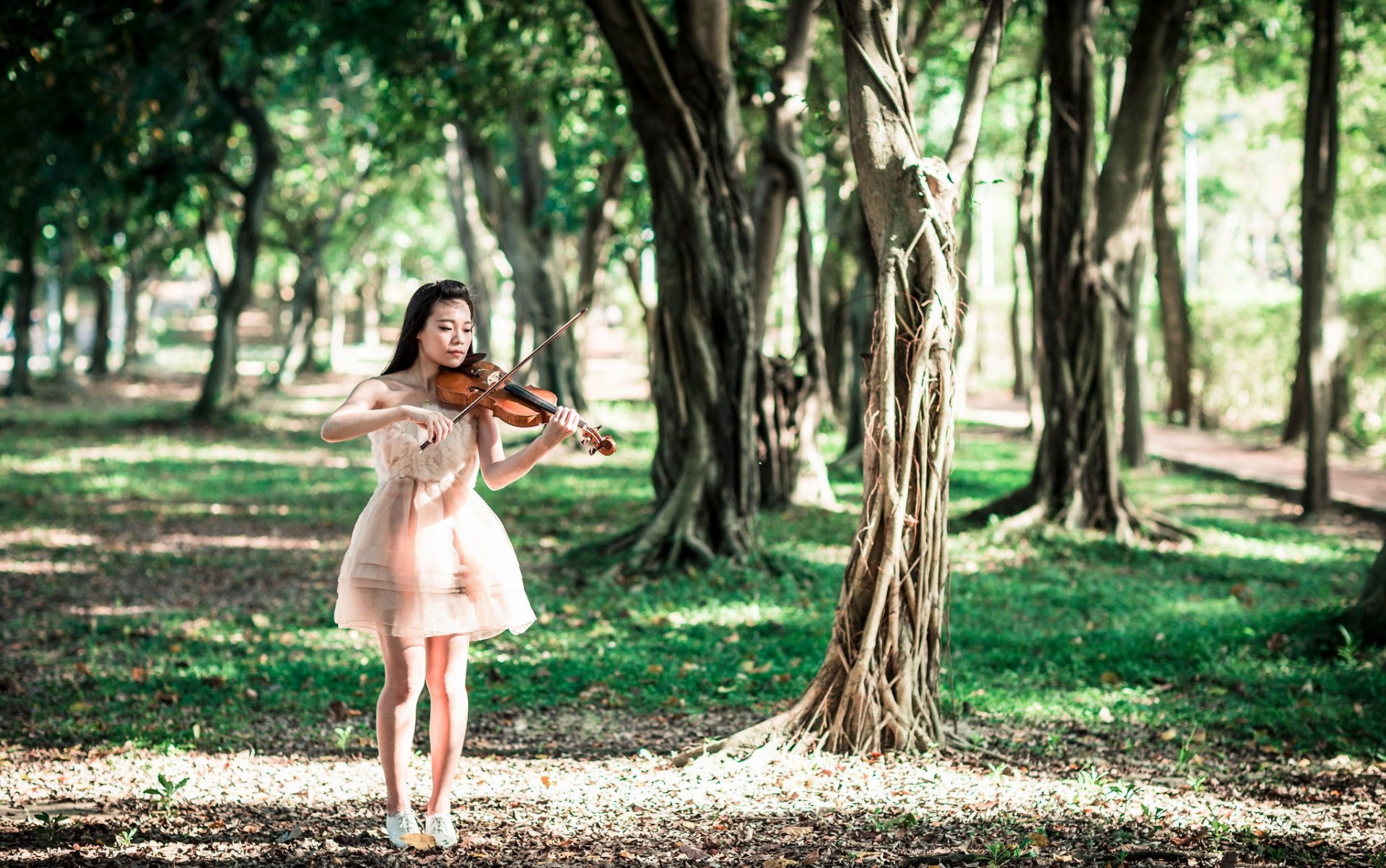 chica violín música