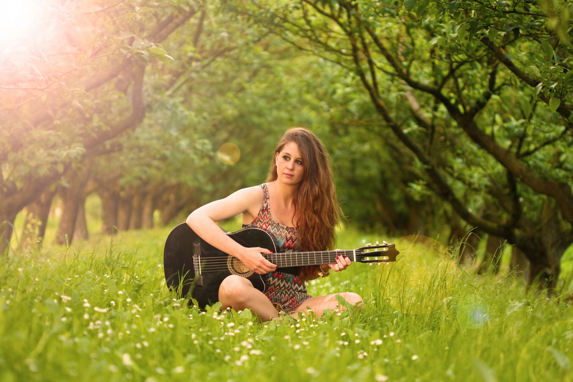 fanny guitarra música