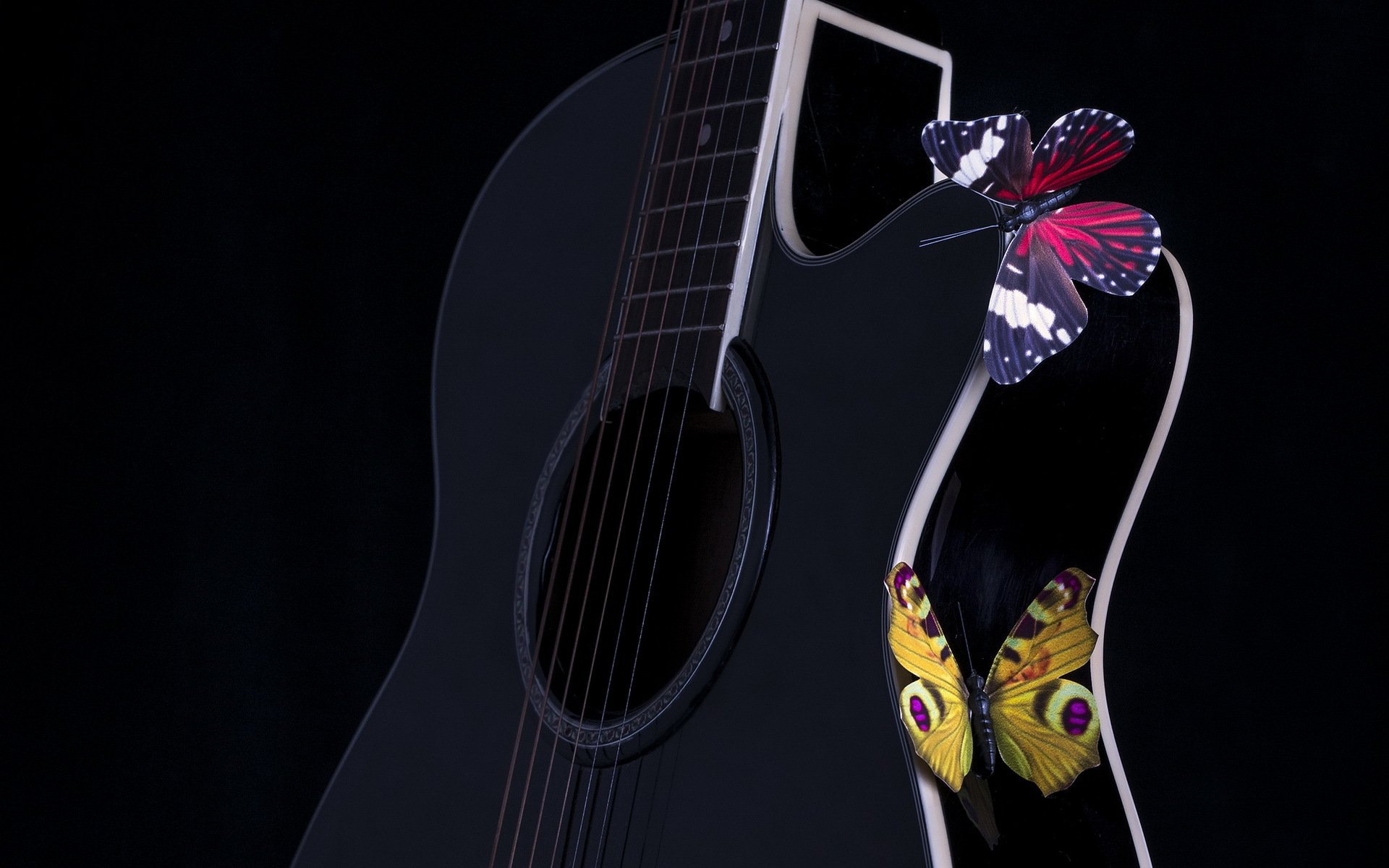 guitare papillons musique