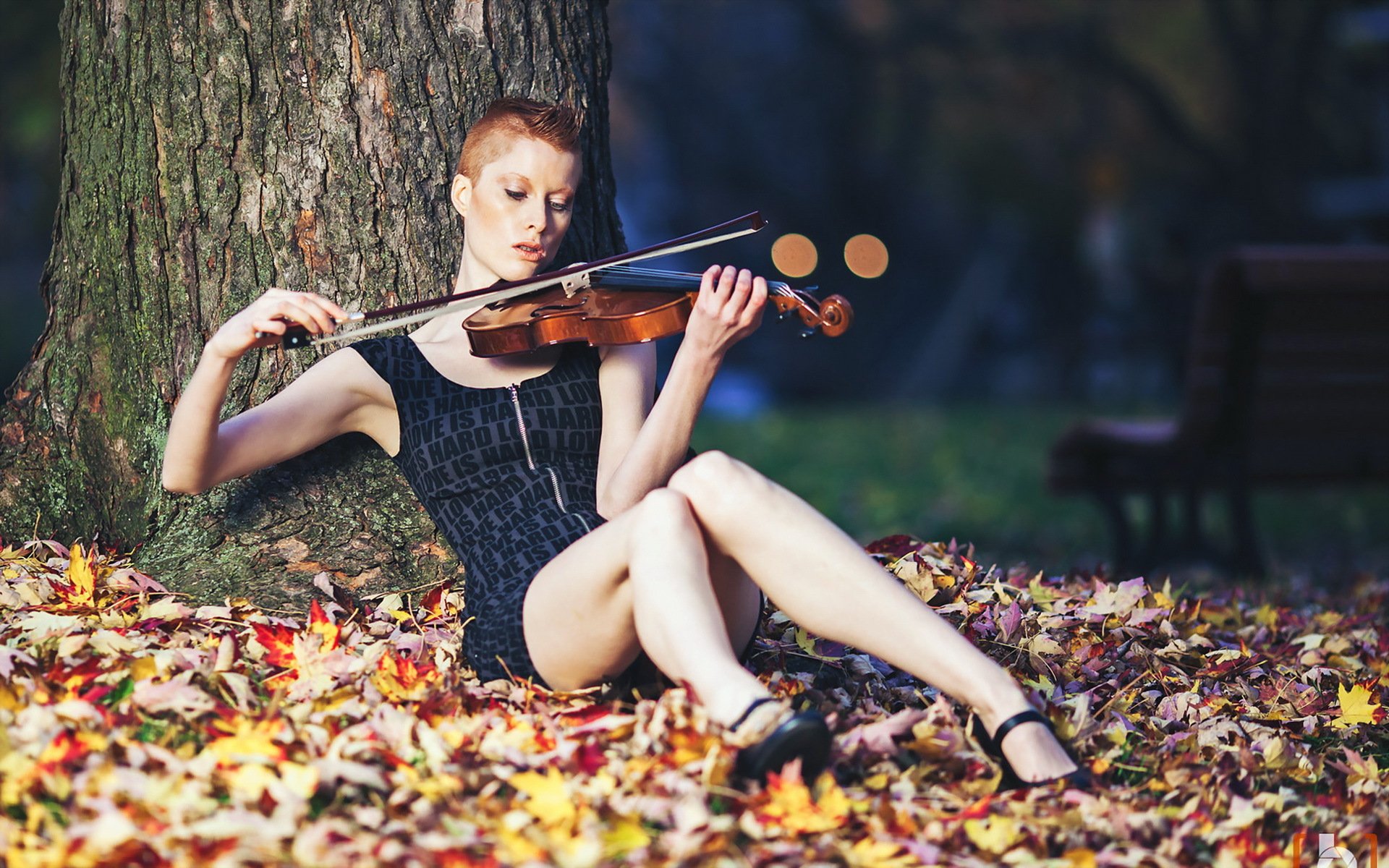 ragazza violino musica