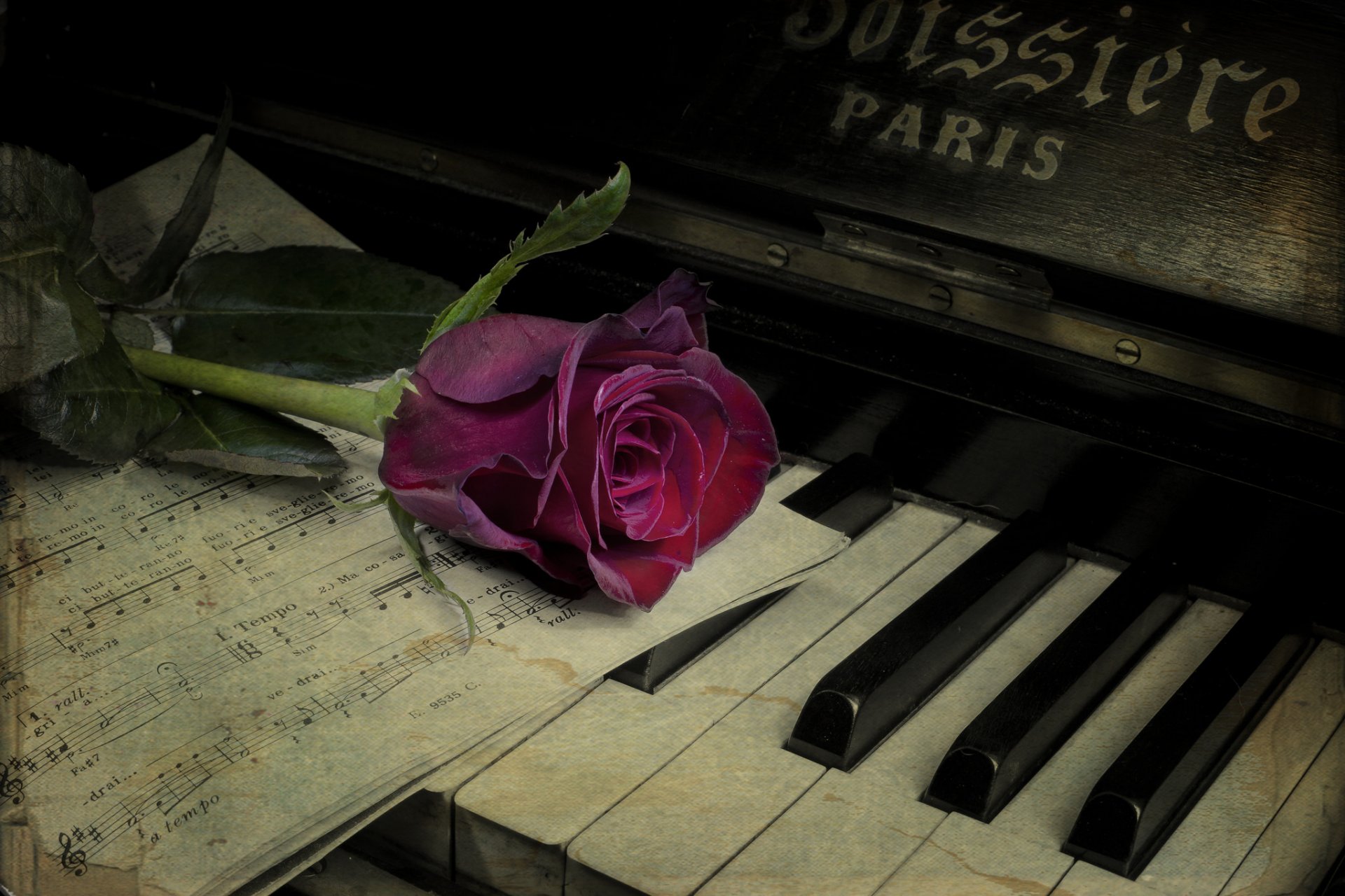 piano rose flower vintage note