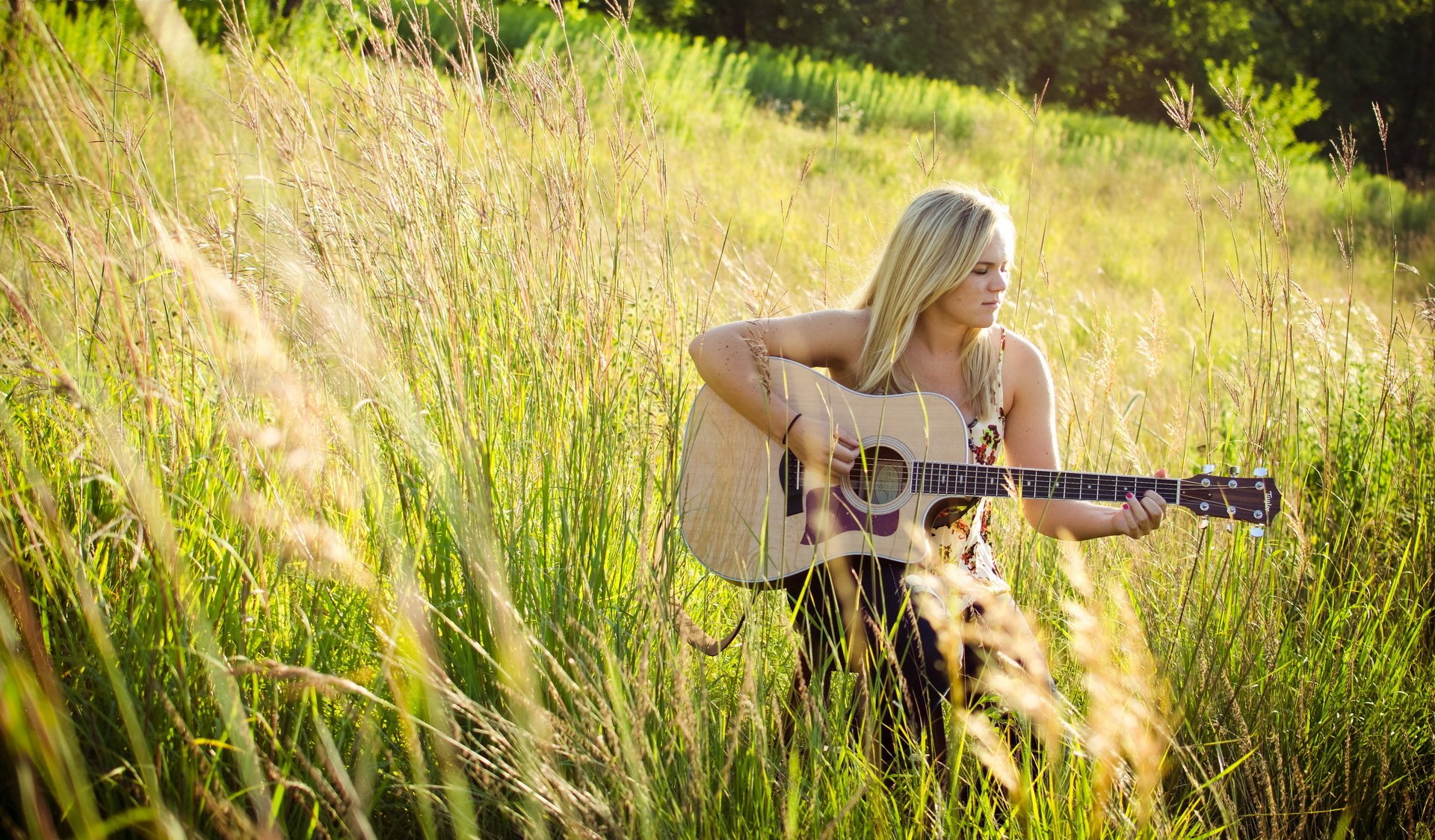 laura nicholson guitarra música