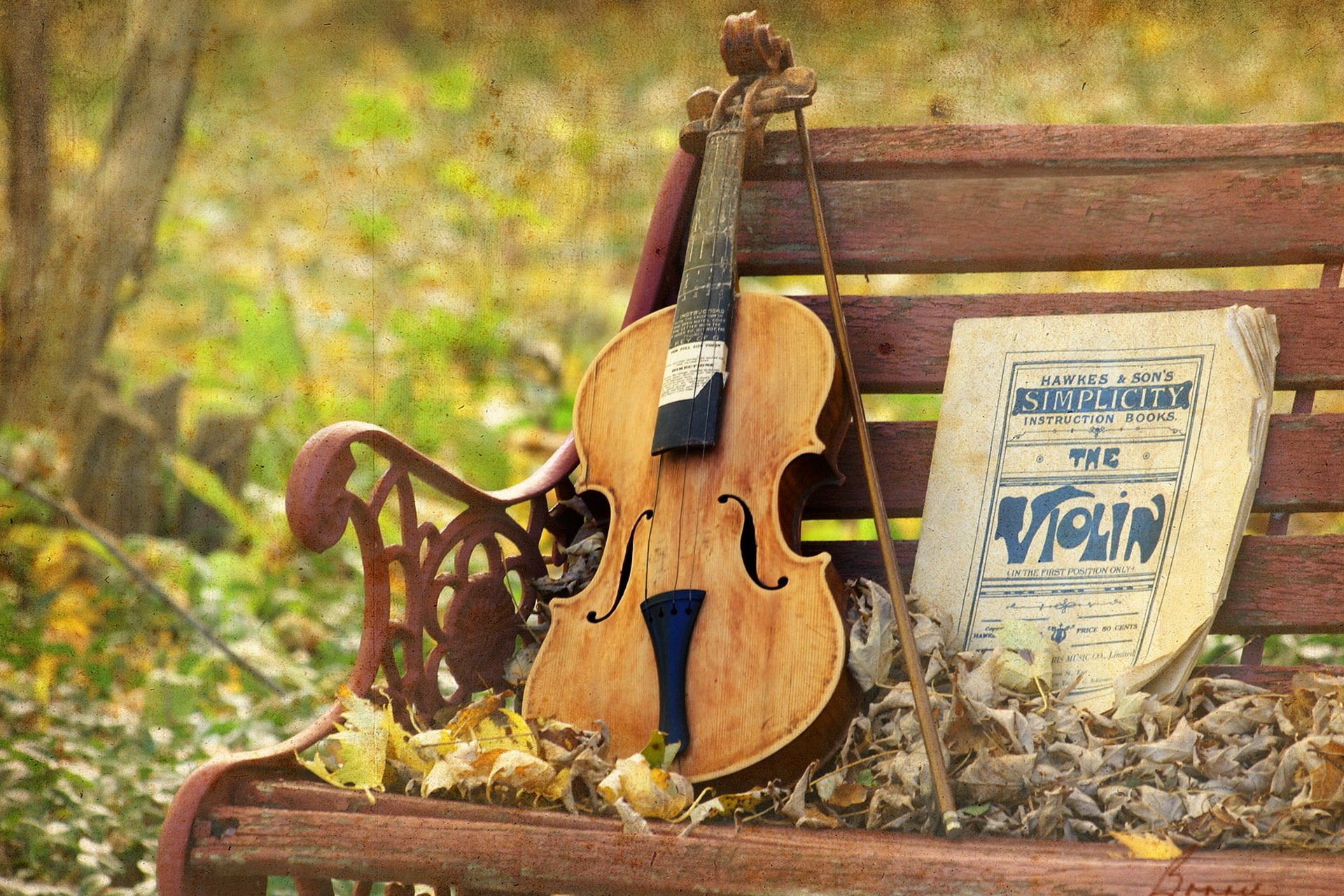 violino panca musica struttura