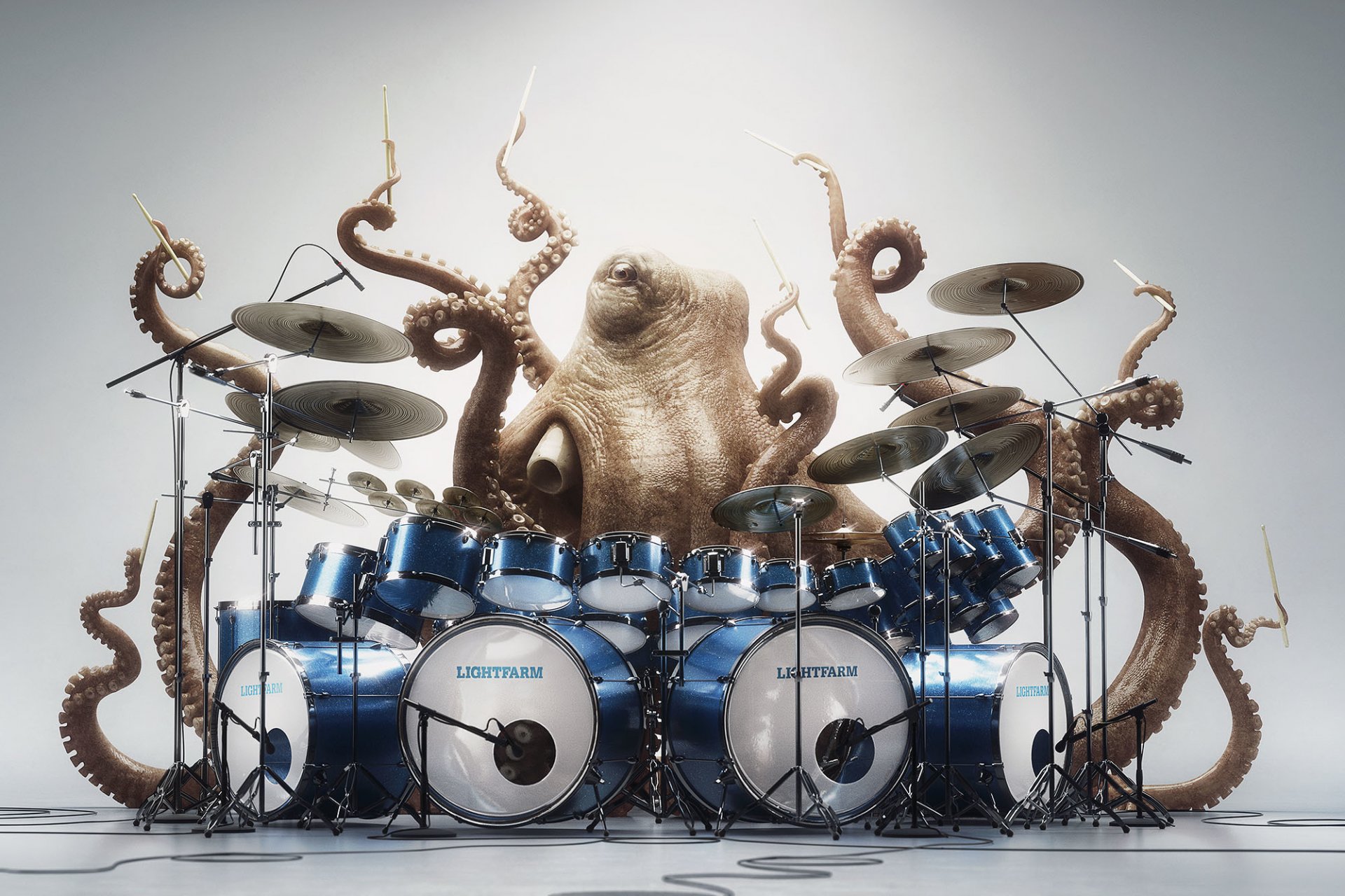 octopus octopus drums drummer eyes mood