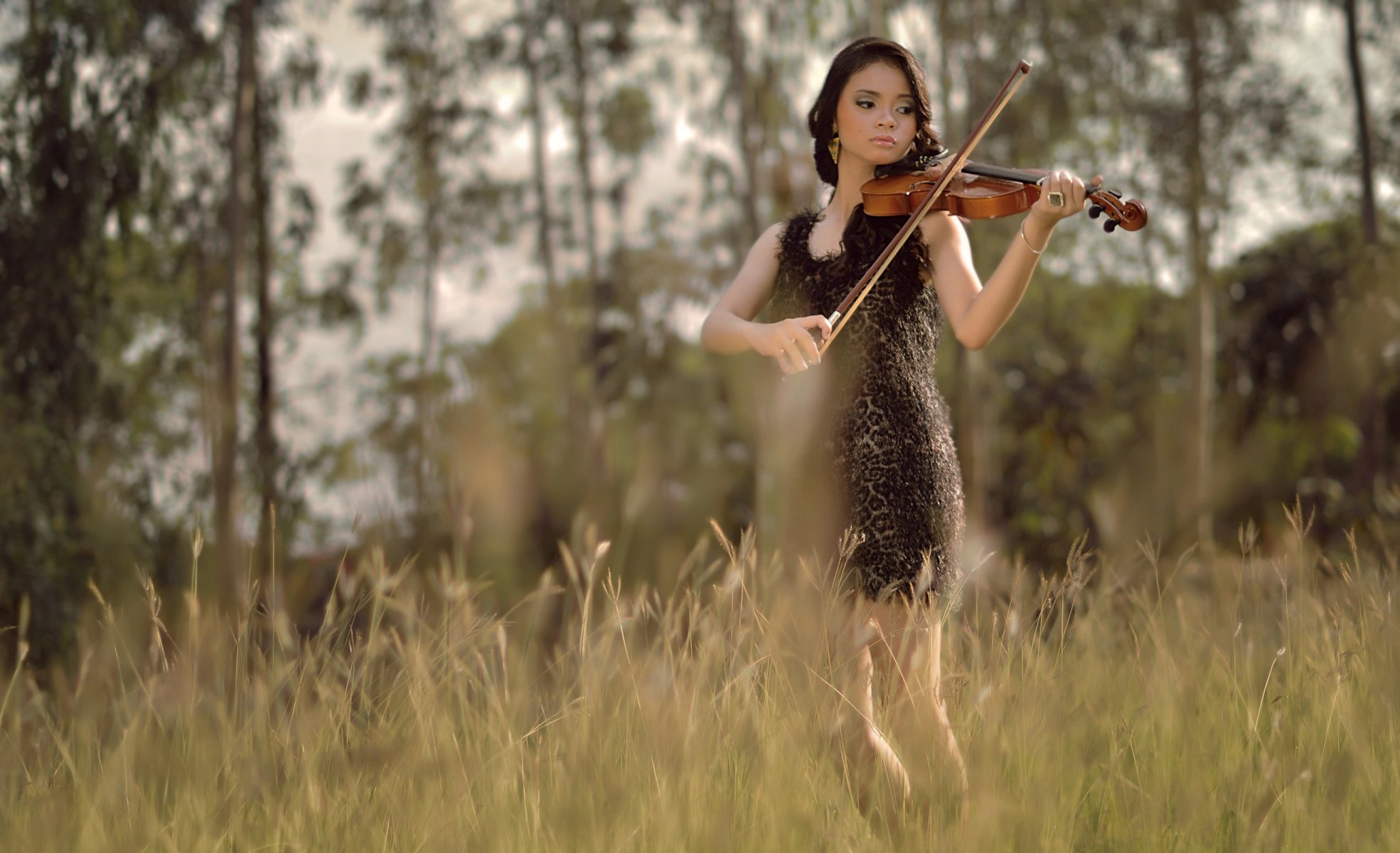 mädchen violine sommer feld musik