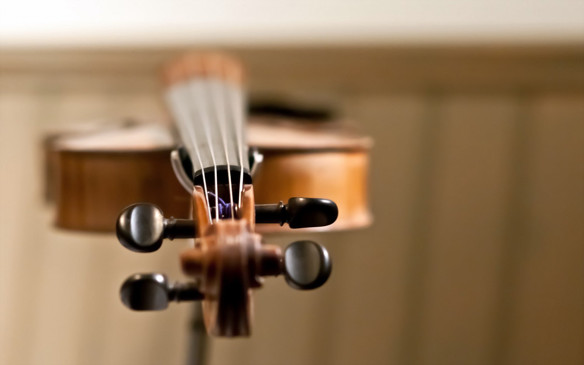 violín macro música